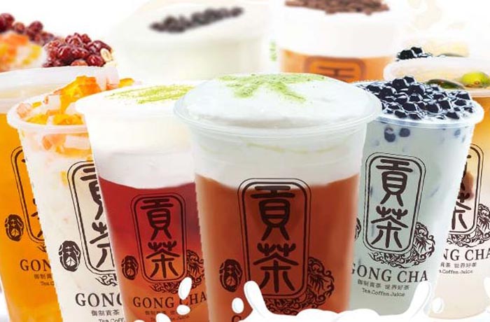 港口镇贡茶培训